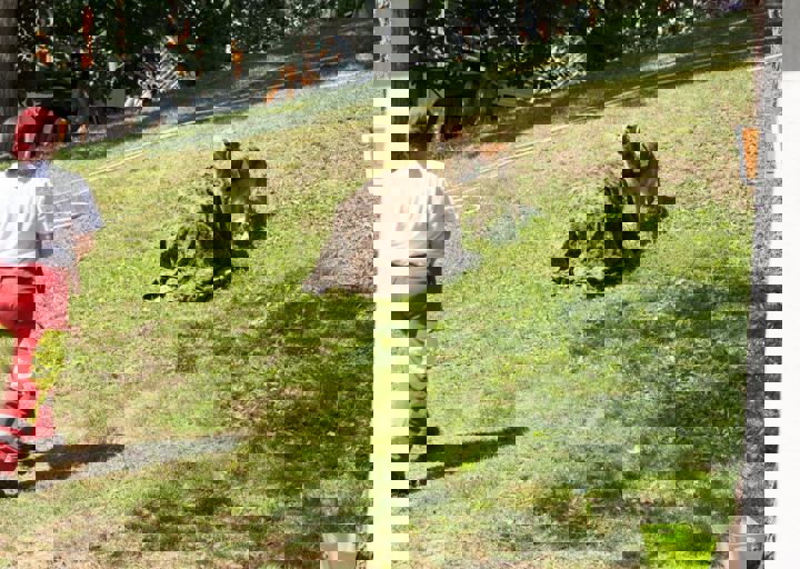 Animal Care Carol Byers  7_5_2015-52.jpg