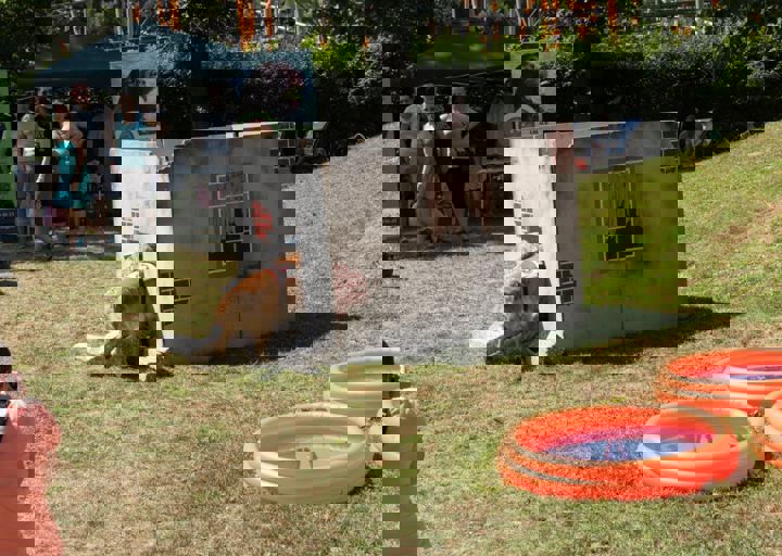 Animal Care Carol Byers  7_5_2015-56.jpg