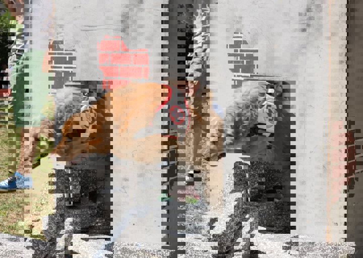 Animal Care Carol Byers  7_5_2015-59.jpg