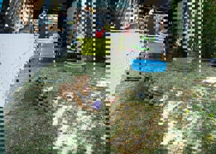 Animal Care Carol Byers  7_5_2015-116.jpg