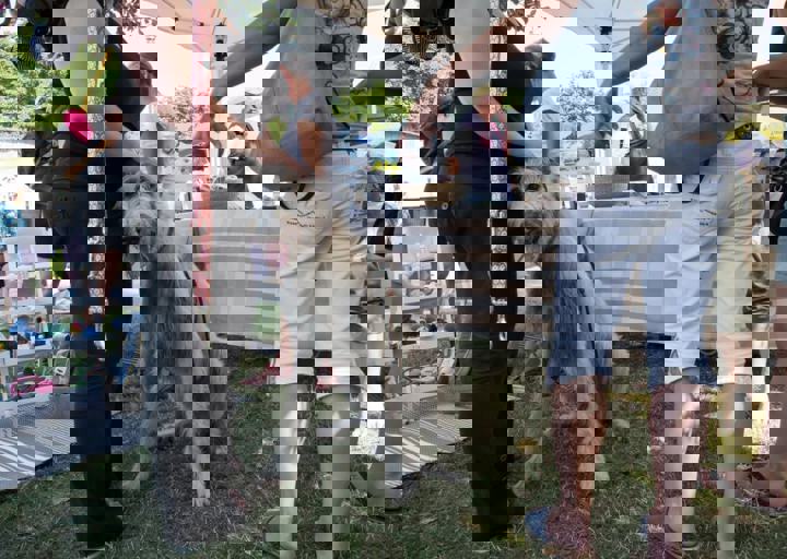 Animal Care Carol Byers  7_5_2015-117.jpg