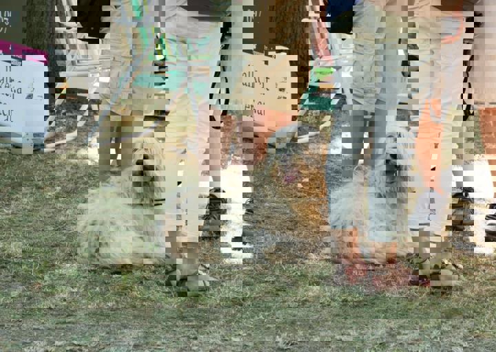 Animal Care Carol Byers  7_5_2015-119.jpg