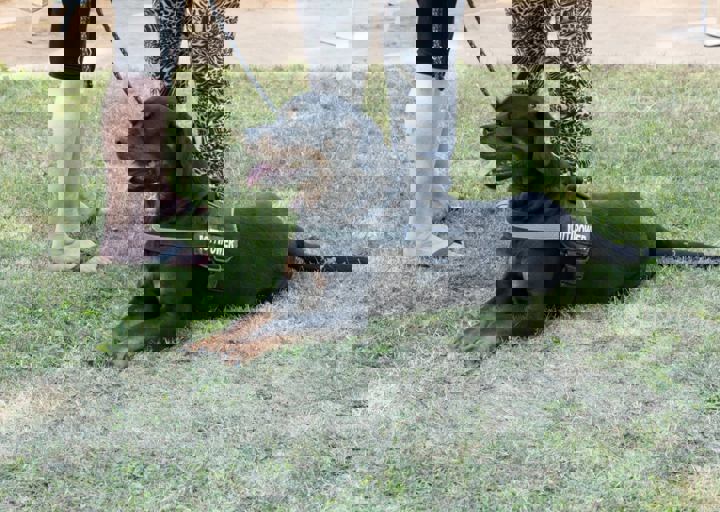 Animal Care Carol Byers  7_5_2015-133.jpg