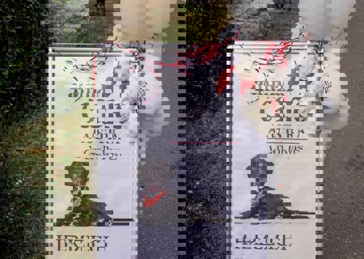 ACA Sommerfest 03.09.2016-01.JPG