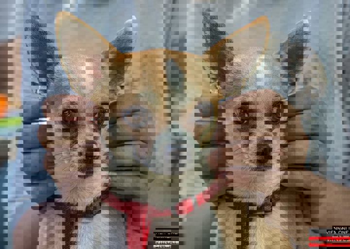 ACA Sommerfest 03.09.2016-4.JPG