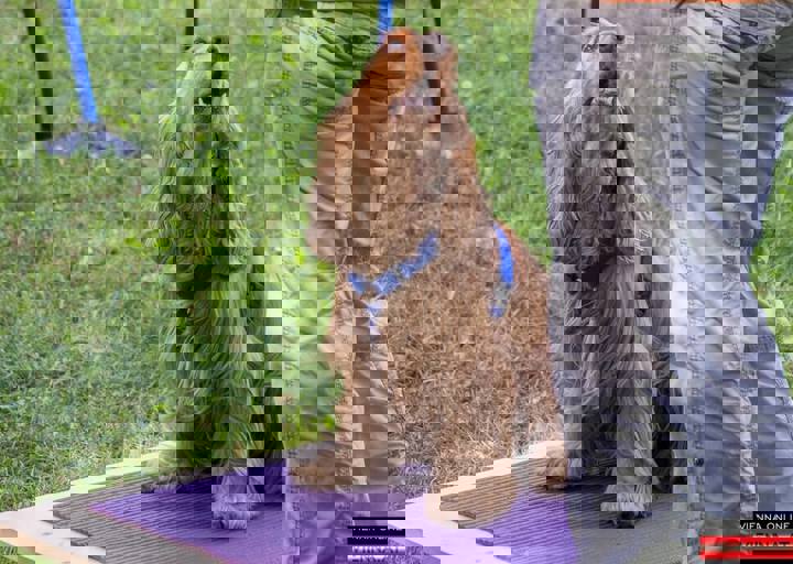 ACA Sommerfest 03.09.2016-5.JPG