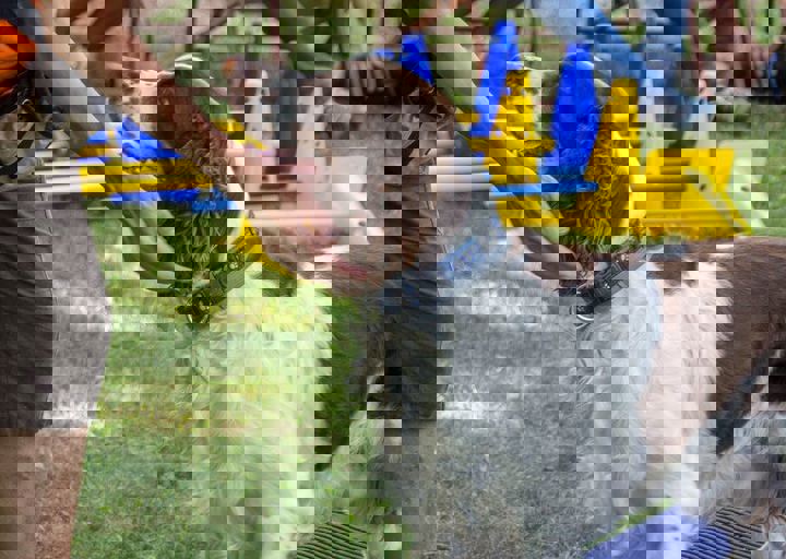 ACA Sommerfest 03.09.2016-6.JPG