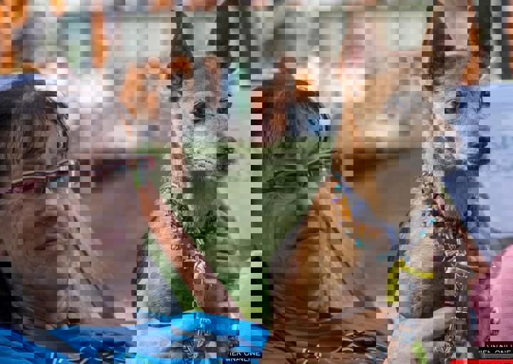 ACA Sommerfest 03.09.2016-10.JPG