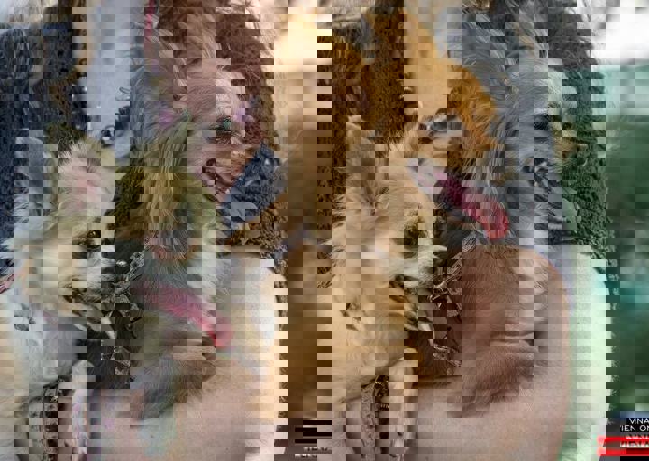 ACA Sommerfest 03.09.2016-14.JPG