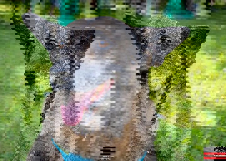 ACA Sommerfest 03.09.2016-15.JPG