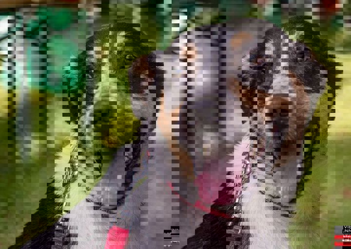 ACA Sommerfest 03.09.2016-21.JPG