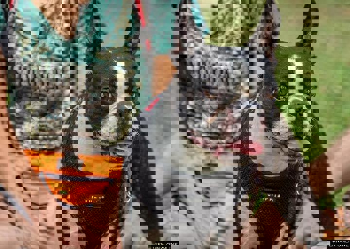 ACA Sommerfest 03.09.2016-28.JPG