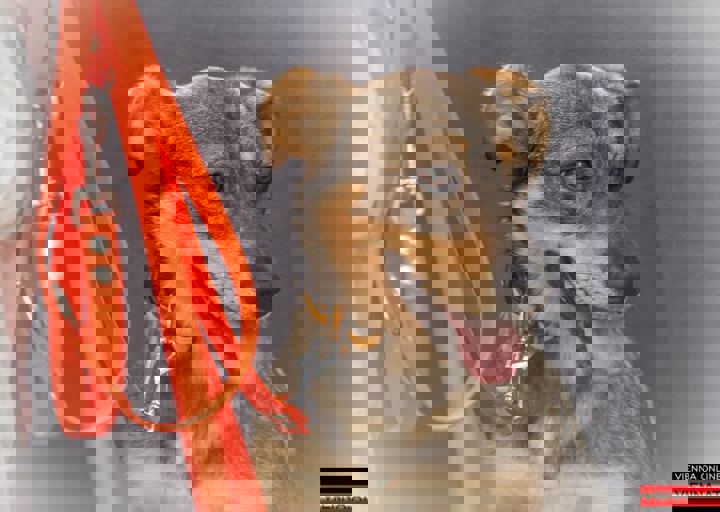 ACA Sommerfest 03.09.2016-30.JPG