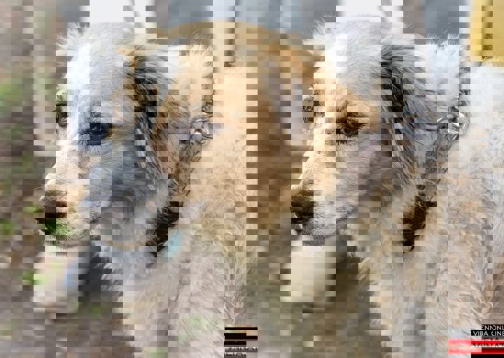 ACA Sommerfest 03.09.2016-31.JPG