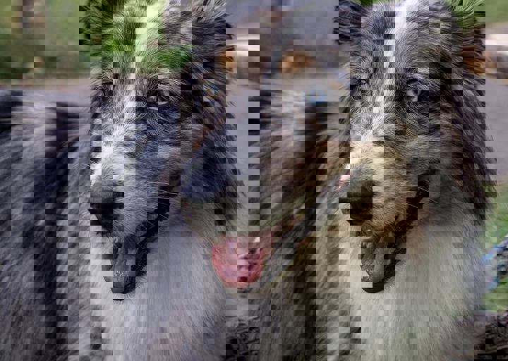 ACA Sommerfest 03.09.2016-42.JPG