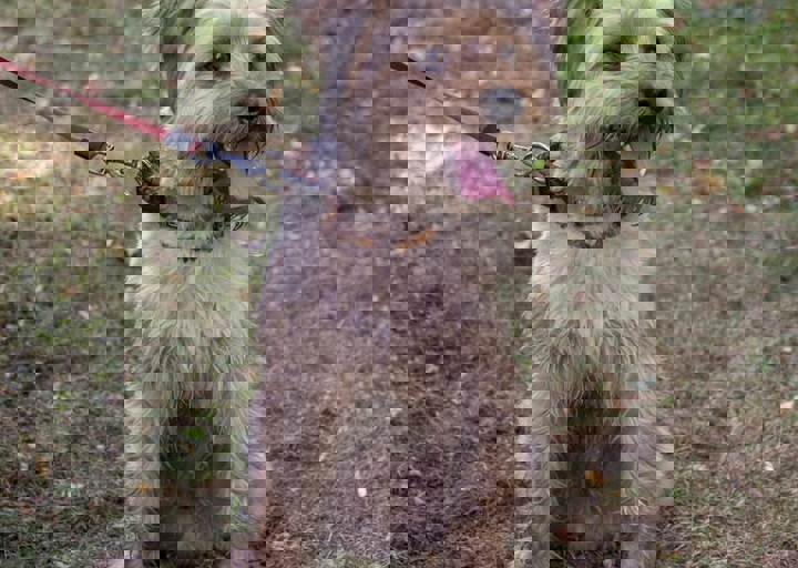 ACA Sommerfest 03.09.2016-51.JPG