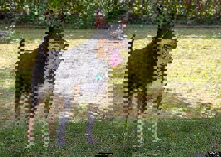 ACA Sommerfest 03.09.2016-53.JPG