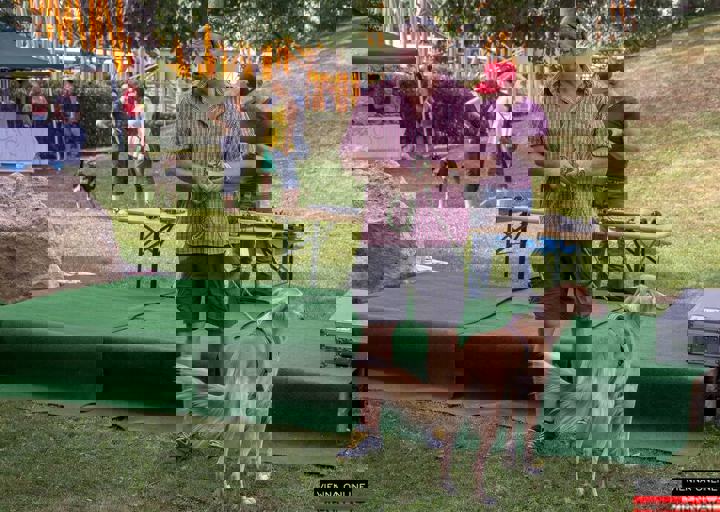 ACA Sommerfest 03.09.2016-59.JPG