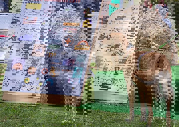 ACA Sommerfest 03.09.2016-60.JPG