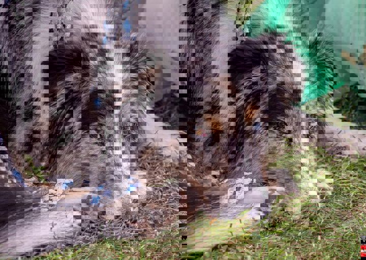 ACA Sommerfest 03.09.2016-74.JPG