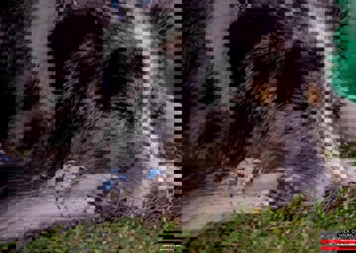 ACA Sommerfest 03.09.2016-75.JPG