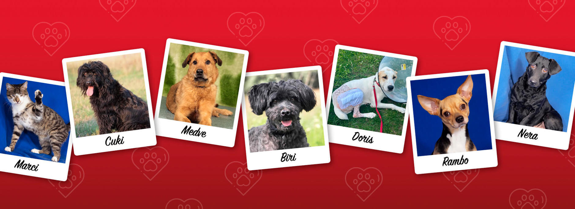 Aca Operationen Header Home 3