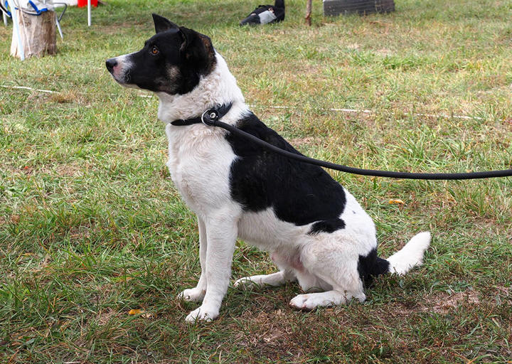 Kopie Von 25 10120333