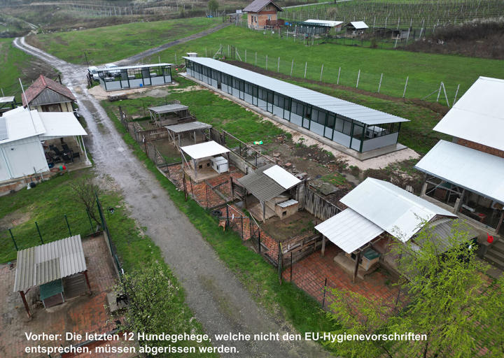 Aca Tierheim Svilos 15