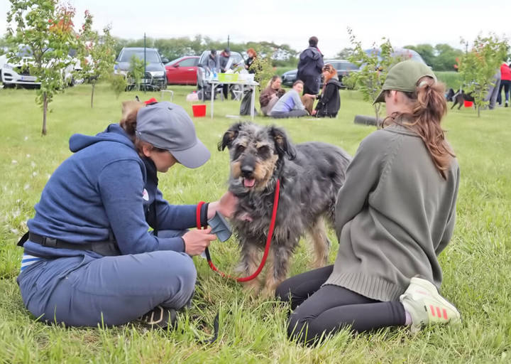 Kopie Von 25 05180288