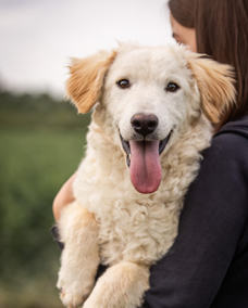 Tino 1 (1)
