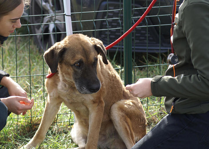 Kopie Von 25 10120166