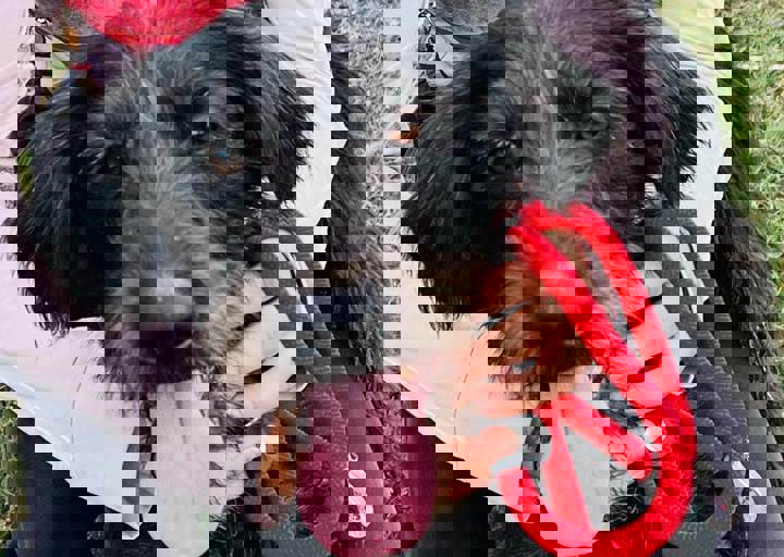 Aca Careday Okt 2025 31