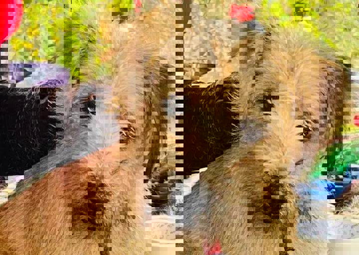 Aca Careday Okt 2025 17