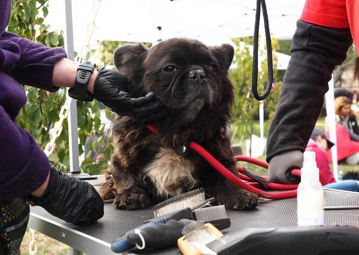 Kopie Von 25 10120403