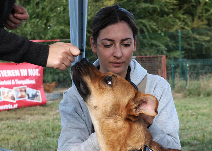 Kopie Von 25 10120499