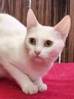 Wilma 3