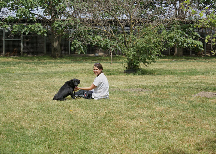 Aca Careday Mai 2026 Carol 26 05310300