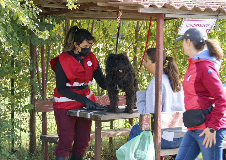 Kopie Von 25 10120168