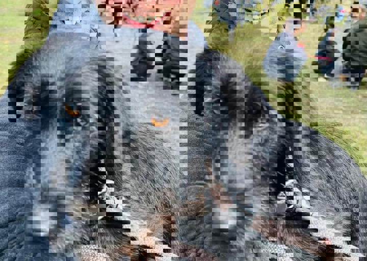 Aca Careday Okt 2025 45