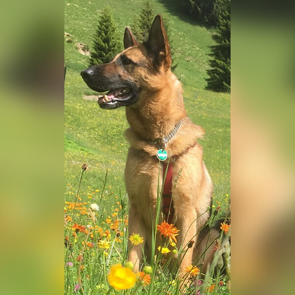 Animal Care Austria Liza