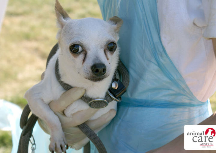 Kopie Von 22 0724681