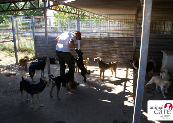 Kopie Von 22 0724622