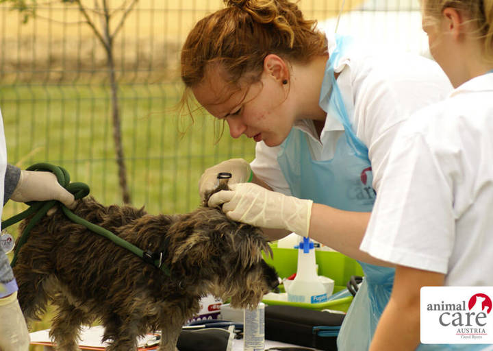 Kopie Von 22 0724034