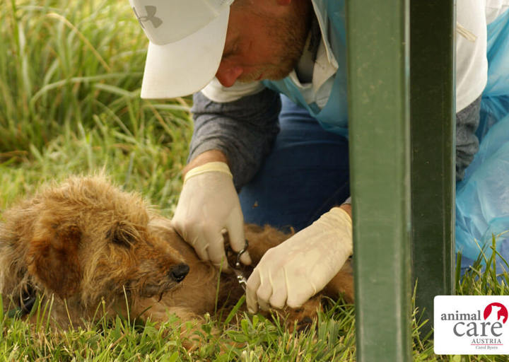 Kopie Von 22 0724365