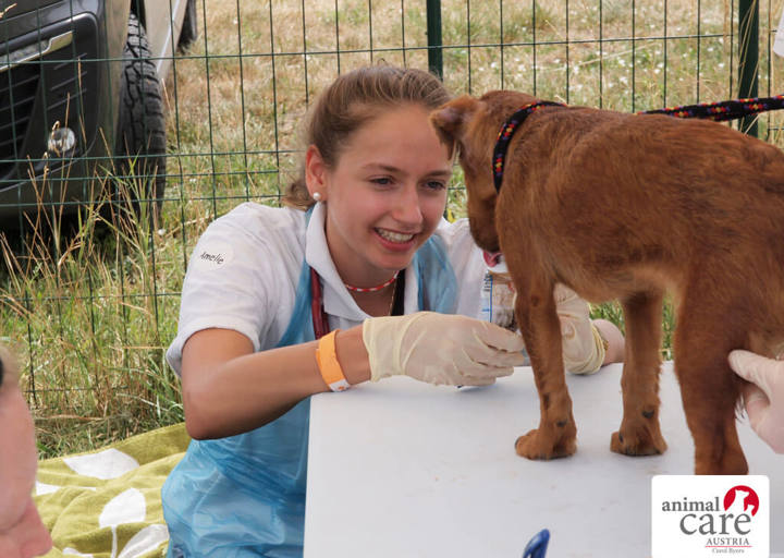 Kopie Von 22 0724205