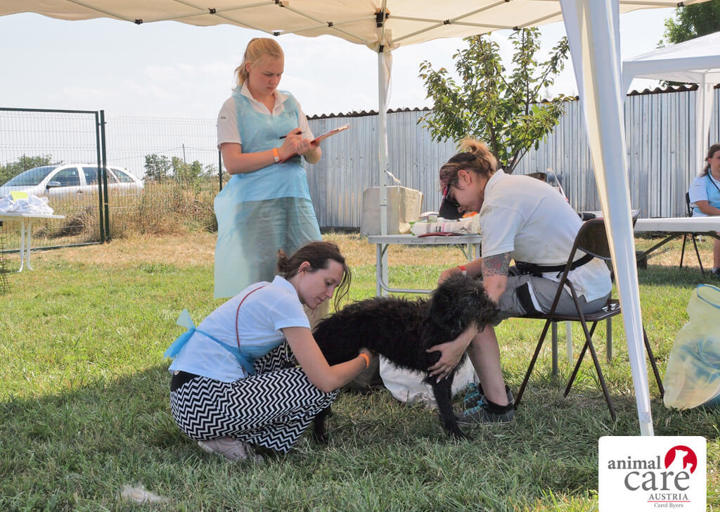 Kopie Von 22 0724573