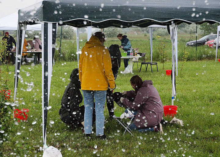 Kopie Von Kopie Von 23 05140970