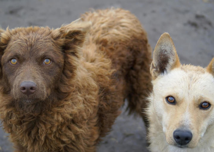 Kopie Von Kopie Von 23 05140612