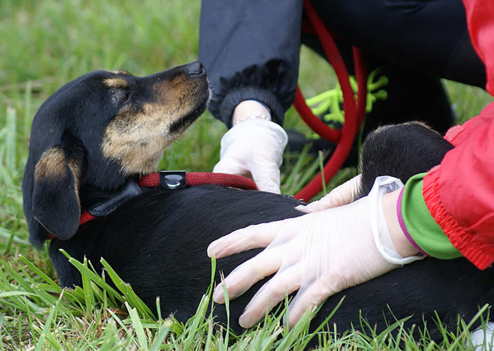 Kopie Von Kopie Von 23 05140667