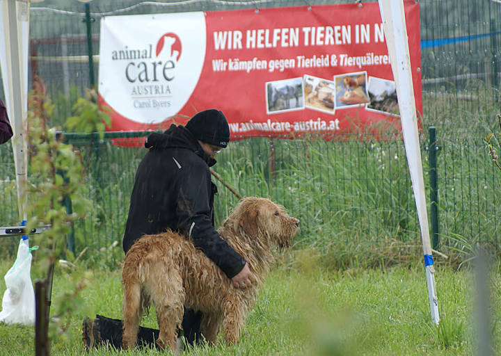 Kopie Von Kopie Von 23 05141152